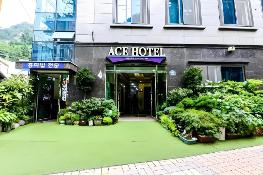 Ace Hotel Ulleungdo Buitenkant foto