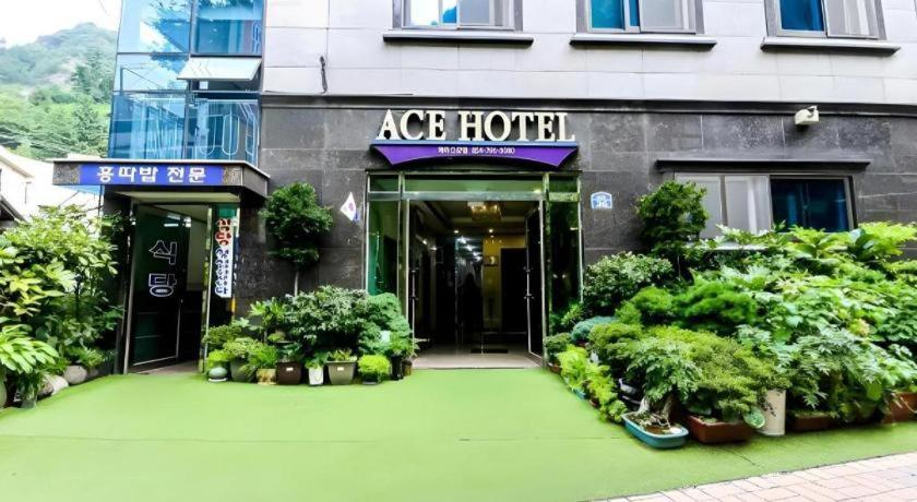 Ace Hotel Ulleungdo Buitenkant foto
