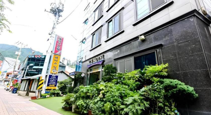 Ace Hotel Ulleungdo Buitenkant foto